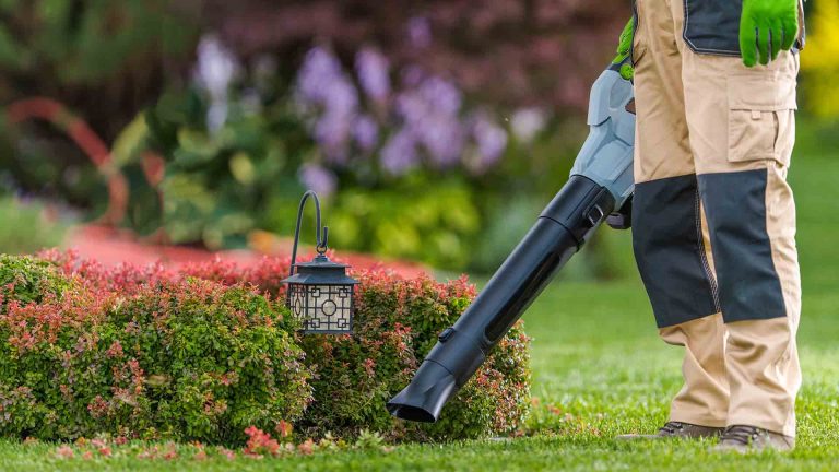 Soffiatore: il miglior alleato del giardino autunnale