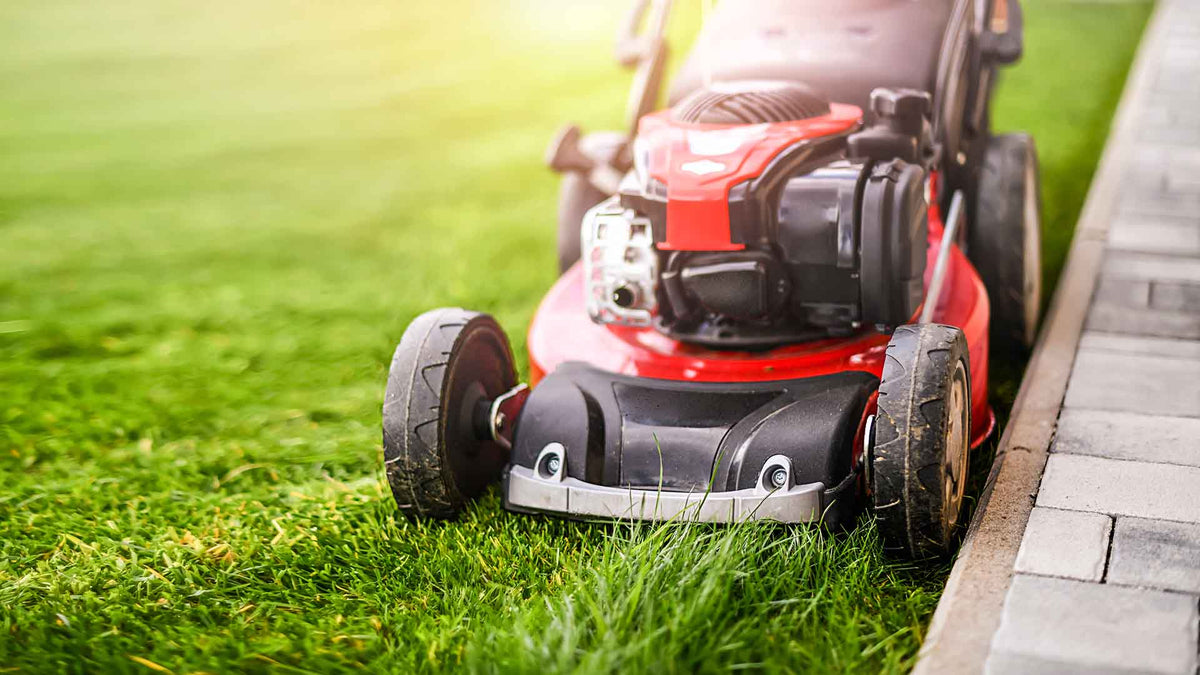 I migliori tagliaerba per la cura del verde di casa