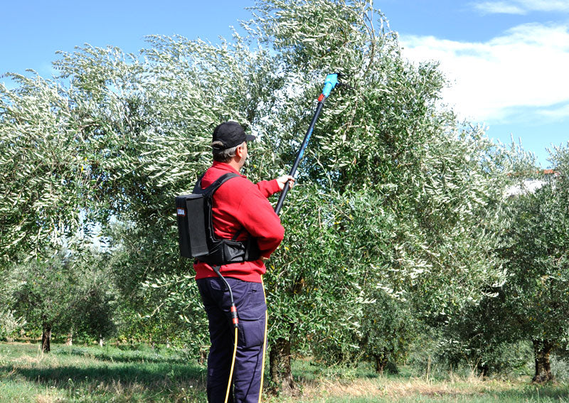 Lisam OLIVECO - Abbacchiatore elettrosquotitore per olive a batteria 12V - Asta telescopica