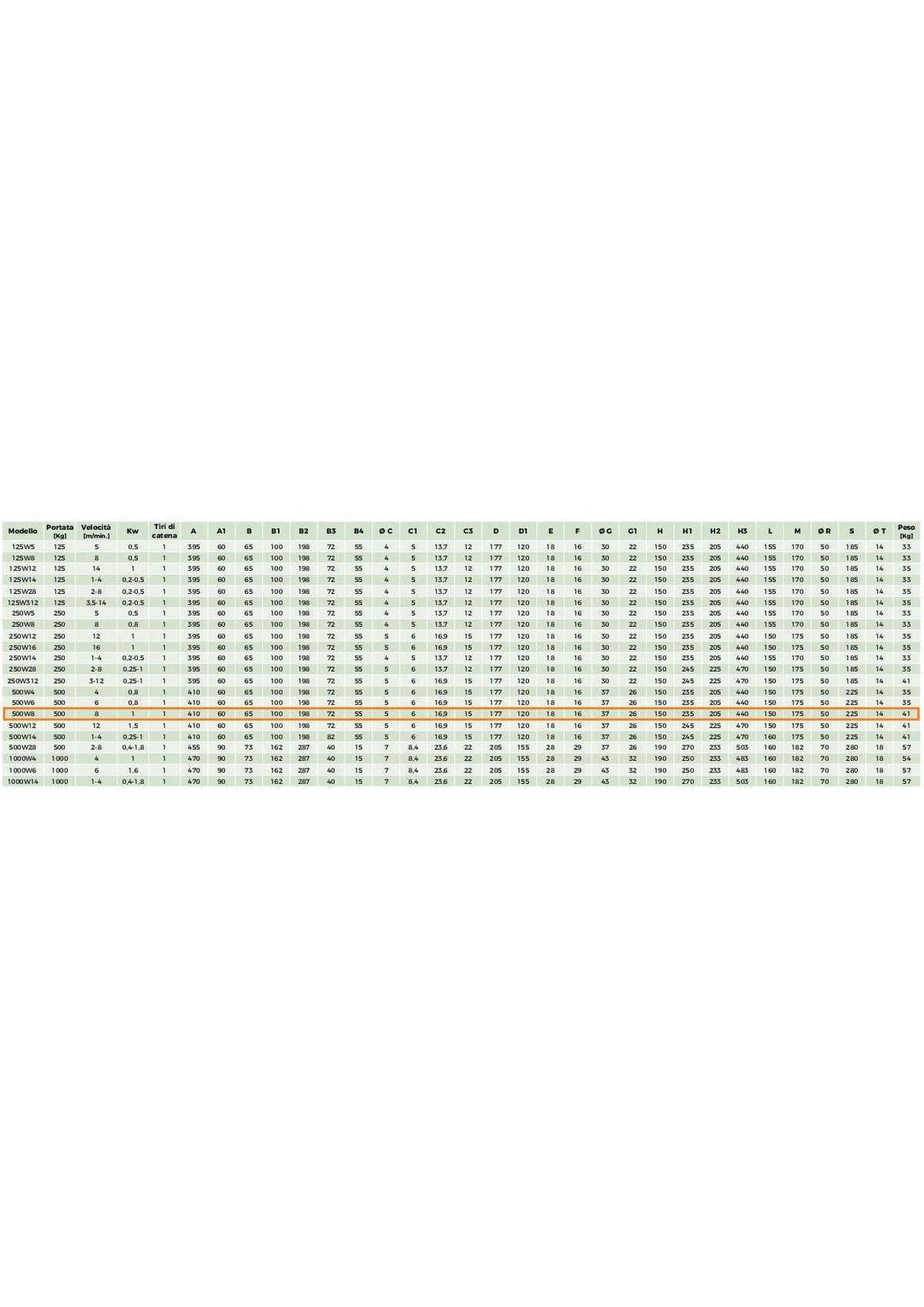 RWM Paranco 500W8 serie W-CS