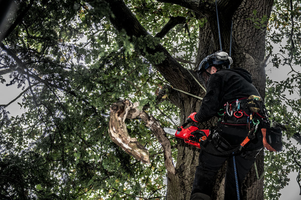 Milwaukee M12 FHS-251 - Elettrosega da potatura a batteria 12V FUEL - 1 x 2,5Ah + 1 x 5Ah alta potenza