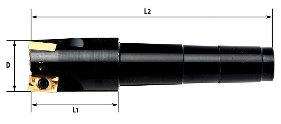 Prodotto 453930