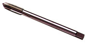 Prodotto 454885