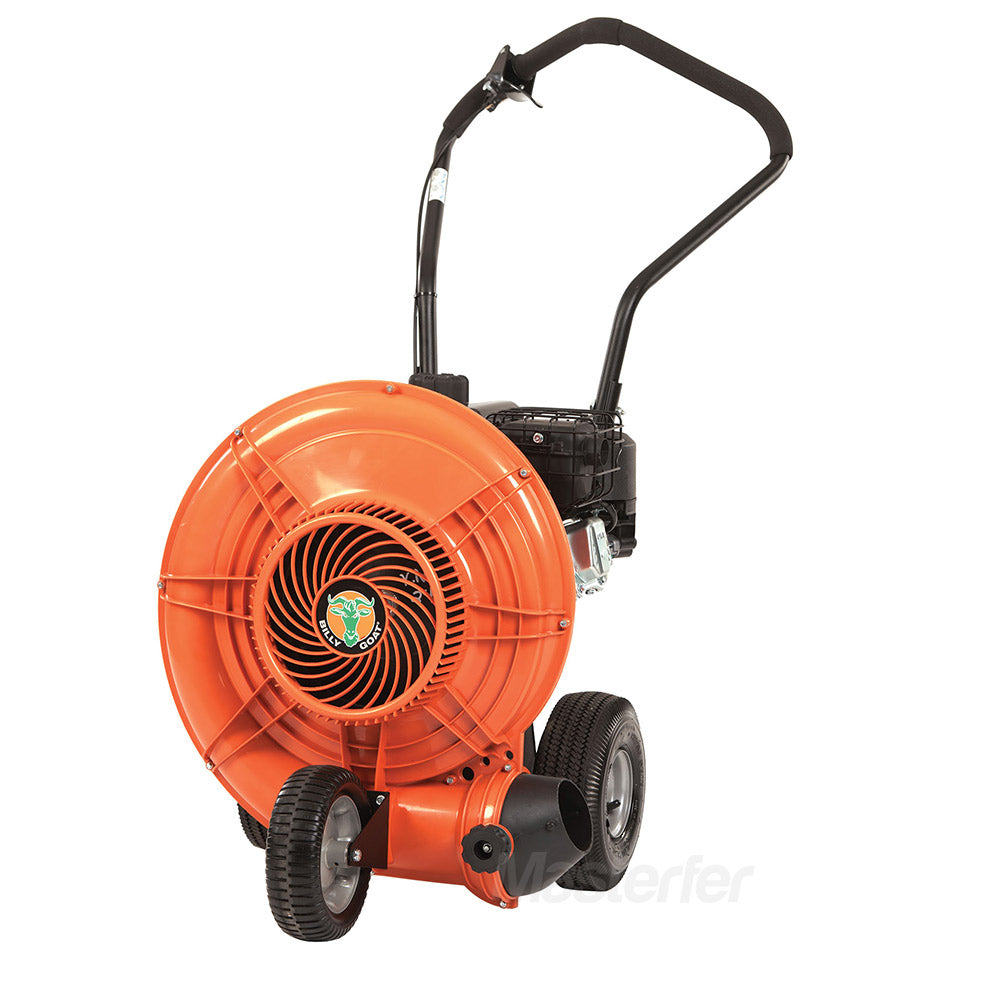 Prodotto F601V